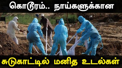 Delhi-ல் நாய்களுக்கான சுடுகாட்டில் மனித உடல்கள் தகனம் செய்ய அதிகாரிகள் முடிவு