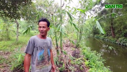 Cá sấu -khủng- nhảy lên xuồng của người đánh cá ở Sài Gòn - Báo Dân trí