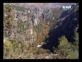 صورة ونغمة - لاسا