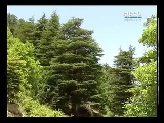 صورة ونغمة - إهدن