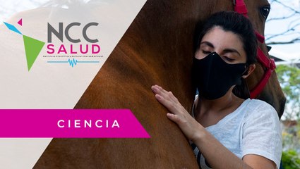 Equinoterapia, la técnica capaz de curar dolores y tratar la depresión