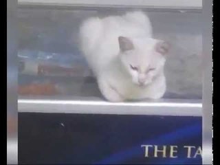 للنشر - حلقة 03-11-2014 Promo