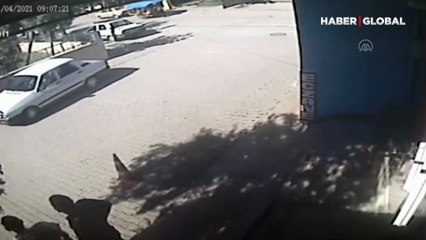 Çuvaldaki köpeği yola düşüren bisikletli ve otomobiliyle ezen sürücüye para cezası