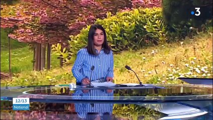 Gard : le printemps au cœur de la bambouseraie d’Anduze