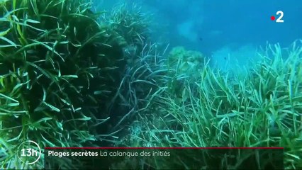 Plages secrètes : dans le massif de l'Estérel, un coin de paradis à l'abri des regards