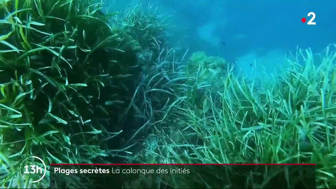 Plages secrètes : dans le massif de l'Estérel, un coin de paradis à l'abri des regards