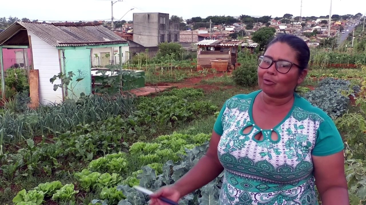Hortas urbanas e comunitárias