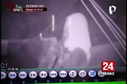 Tumbes: cámaras captan a ladrón robando televisor en una casa