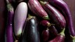 Types of Eggplants to Know (and Grow) This Summer