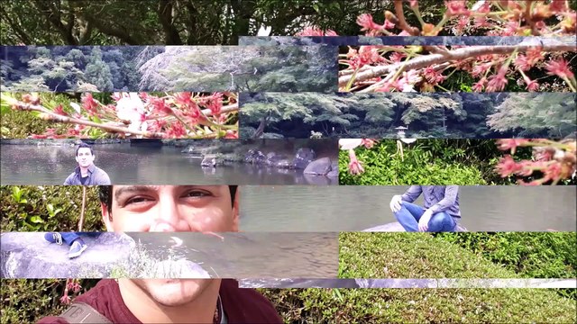 Slitherine 2 | Atlantis Dubai Waterpark | Dubai Atlantis | Slytherin