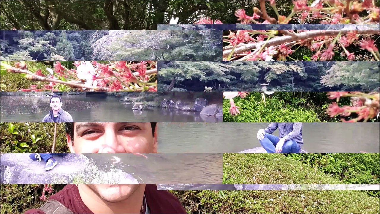 Slitherine 2 | Atlantis Dubai Waterpark | Dubai Atlantis | Slytherin