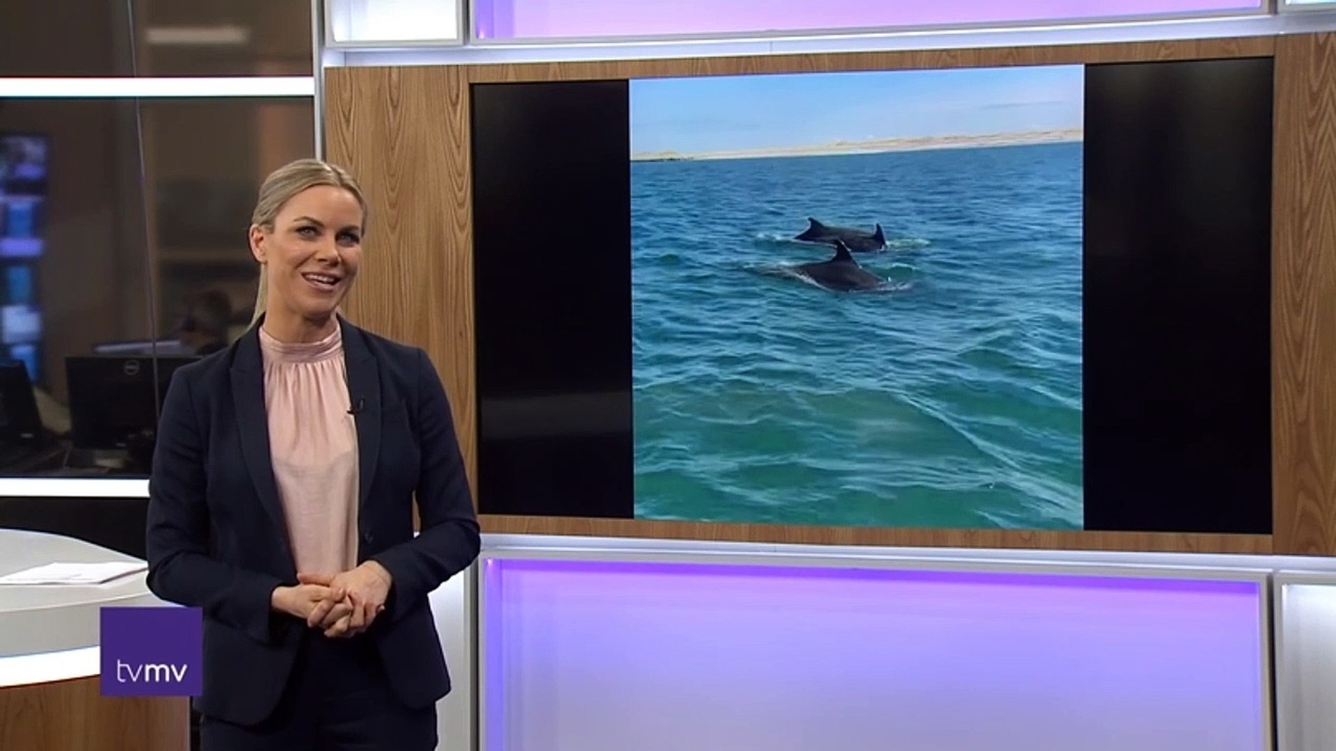 Billeder af fem delfiner ved Agger Tange | Thyborøn Kanal | 17-04-2021 | TV  MIDTVEST @ TV2 Danmark - video Dailymotion
