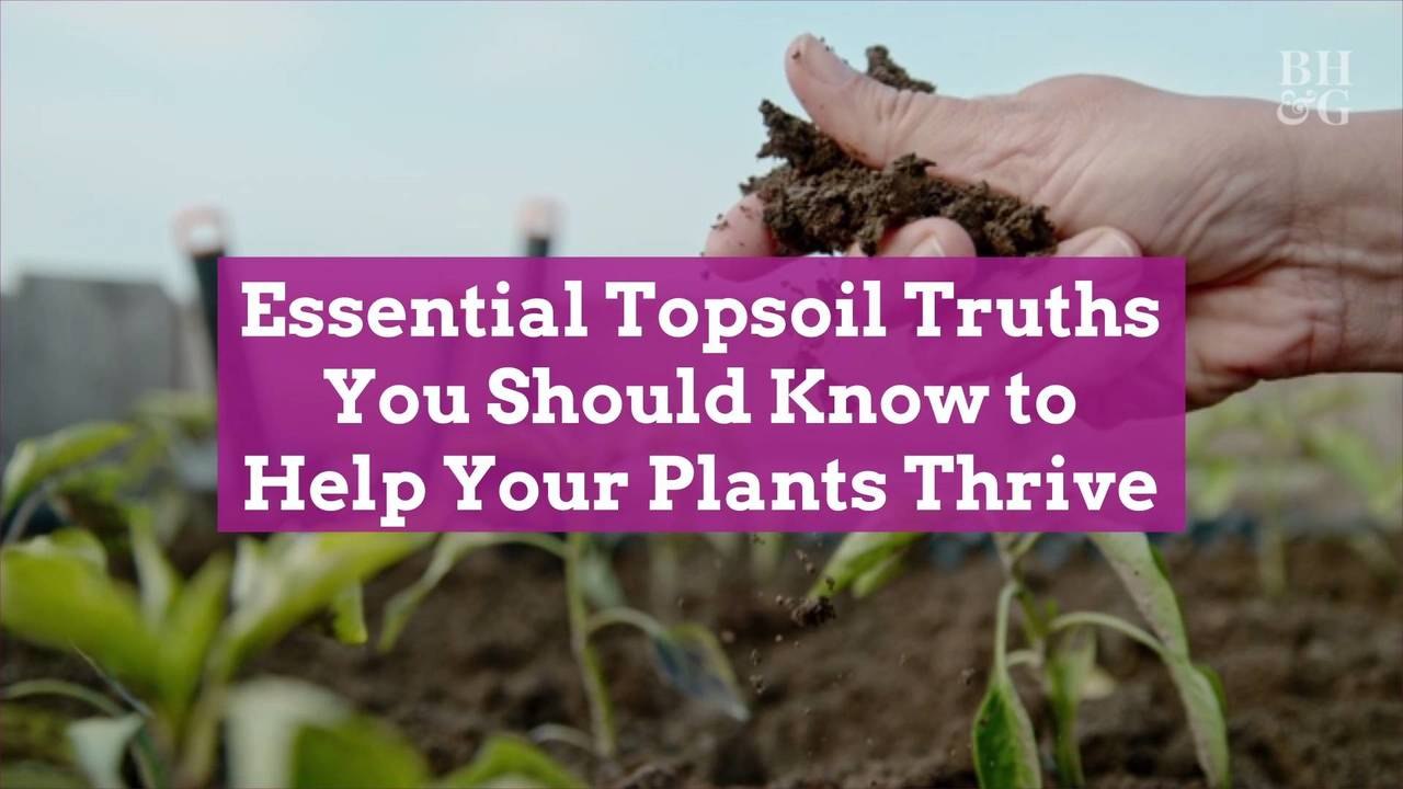 Copy of Essential Topsoil Truths You Should Know to Help Your Plants Thrive