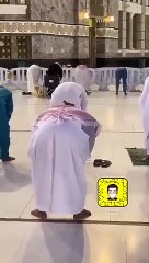 حمامة تقف على رأس أحد المصلين في الحرم المكي: فيديو سيخطف قلبك
