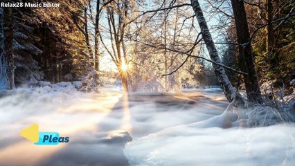 4k Wonderful Sunrise Videos/Awesome Sunrise Video With Bird Singing Song