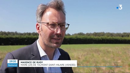 Vendée : bras de fer autour d'une prairie