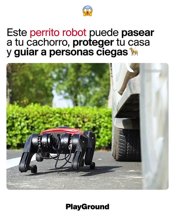 Este perrito robot puede pasear a tu cachorro,...