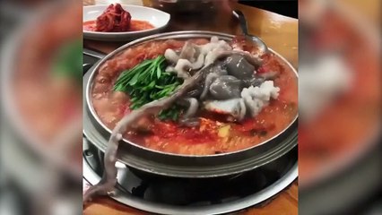 Bunun hesabını nasıl vereceksiniz!