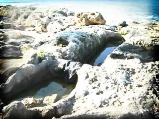 Promo- الفساد حلقة 02-02-2016