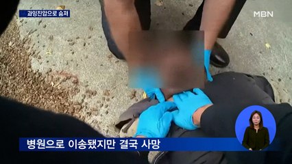 "바퀴벌레가 아닙니다"…과잉 진압 사망 남성 엄마의 절규