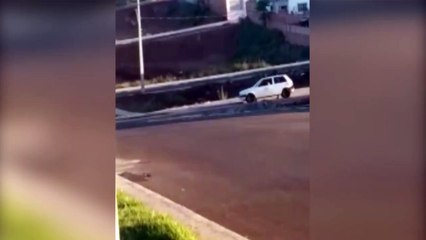 Vídeo mostra cachorrinha sendo abandonada no Jardim Montreal