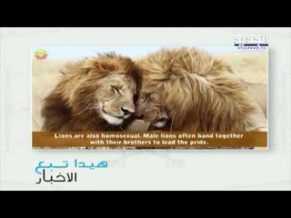 هيدا تبع الأخبار - المثلية الجنسية وشو في ببال جاد