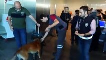 Türkleri köpekle arayan Avusturya'ya cevap geldi!