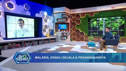 Malaria, Kenali Gejala & Penanganannya -  AYO SEHAT