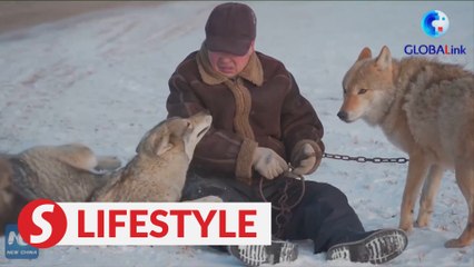 ‘Wolf Island’ of China
