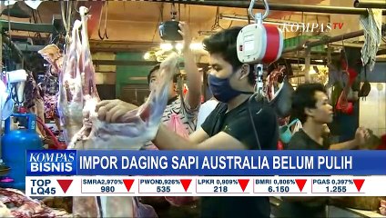 Descargar video: Harga Daging Bergejolak Jelang Lebaran, Impor Daging Sapi Australia Belum Pulih