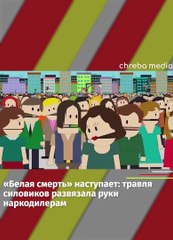 В Цхинвали ужесточают борьбу с распространением наркотиков