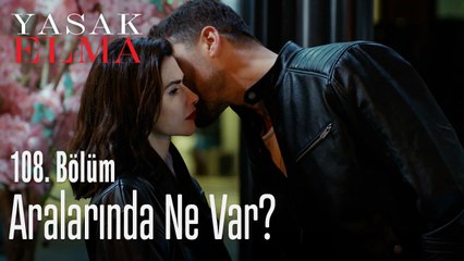 Şahika ve Ömer arasında neler oluyor? - Yasak Elma 108. Bölüm