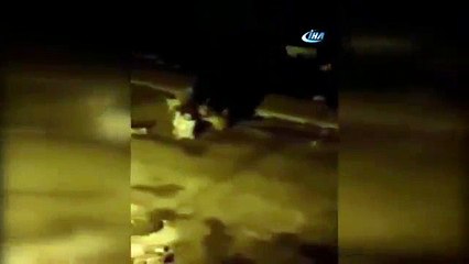 Aç kalan yavru ayı çöp konteynerini aldı gitti