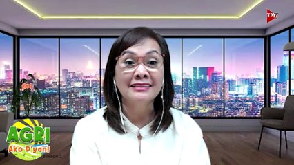 “NEGOSYONG MUSHROOM” Ep.34 AGRI Ako D’yan