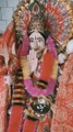 Bhajan Diary (4) - Dasso Maiyaa Ji Mukh Kehdi Gallo Modeya #jaimatadi #bhajandiary