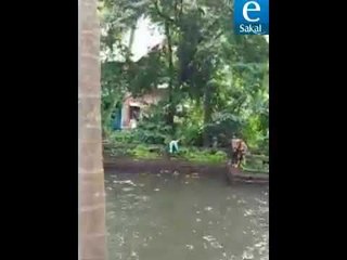 झाडाची फांदी तुटली अन् 'तो' कोसळला