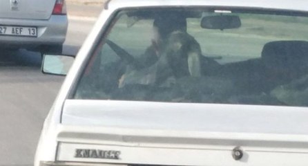 Otomobilin arka koltuğundaki görüntü şoke etti