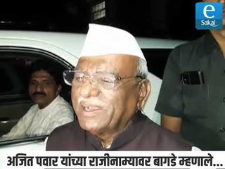 अजित पवार यांच्या राजीनाम्यावर बागडे म्हणाले...