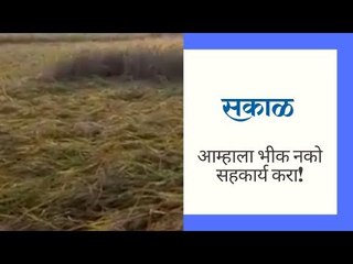 आम्हाला भीक नको सहकार्य करा!
