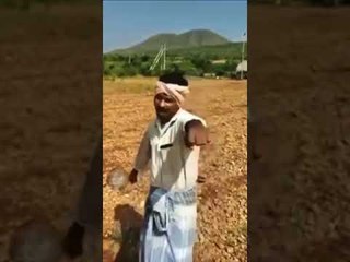 शेतकऱ्याने म्हटले जस्टिन बिबरचे ' बेबी ' हे गाणे.!