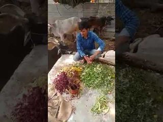 दहावी नापास तरुणाने मिळवले पिकांच्या कीड-रोगांवर नियंत्रण