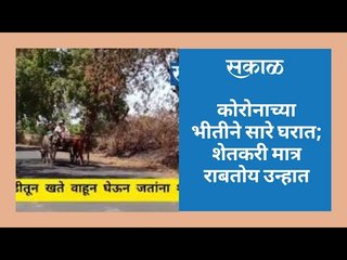 कोरोनाच्या भीतीने सारे घरात; शेतकरी मात्र राबतोय उन्हात