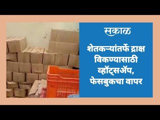 शेतकऱ्यांतर्फे द्राक्ष विकण्यासाठी व्हॉट्सॲप, फेसबुकचा वापर करत विक्री | Aurangabad