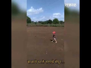 खेळताना मुलाने पकडले नागाचे शेपूट | Viral Video | आजच्या  बातम्या | मराठी बातम्या | Sakal Media |