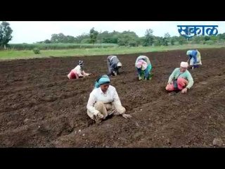 Video herunterladen: Latest Marathi News I कोल्हापूर जिल्ह्यातील ठळक घडामोडी  | मराठी ताज्या बातम्या | Sakal Media |