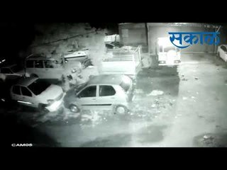 बिबट्या करतोय कुत्र्याचा पाठलाग...घटना सीसीटीव्हीमध्ये