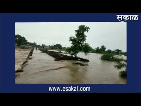 संग्रामपूर तालुक्यात अतिवृष्टी