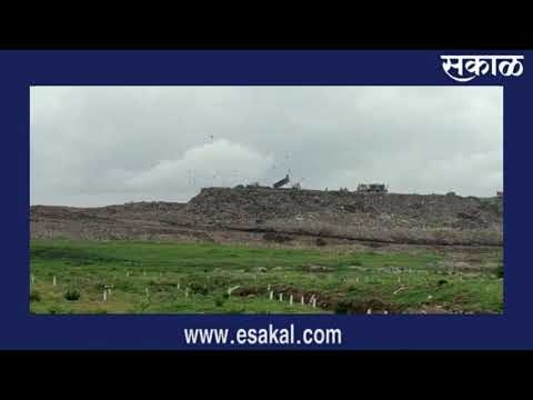 पिंपरी- चिंचवड महापालिकेच्या मोशी कचरा डेपोमध्ये मृतदेह आढळला | Sakal Media |