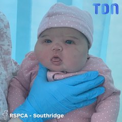 Elle accouche d'un bébé de plus de 6 kilos !