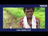 पावसाअभावी धानपीक संकटात, शेतकरी चिंतेत | Live Marathi News | मराठी ताज्या बातम्या | Sakal Media |